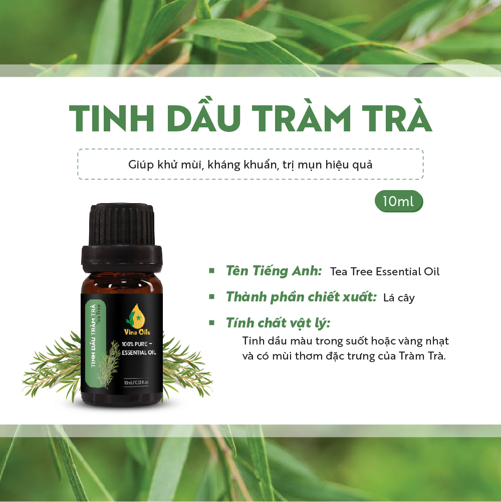 Tinh dầu xông Tràm trà 10ml